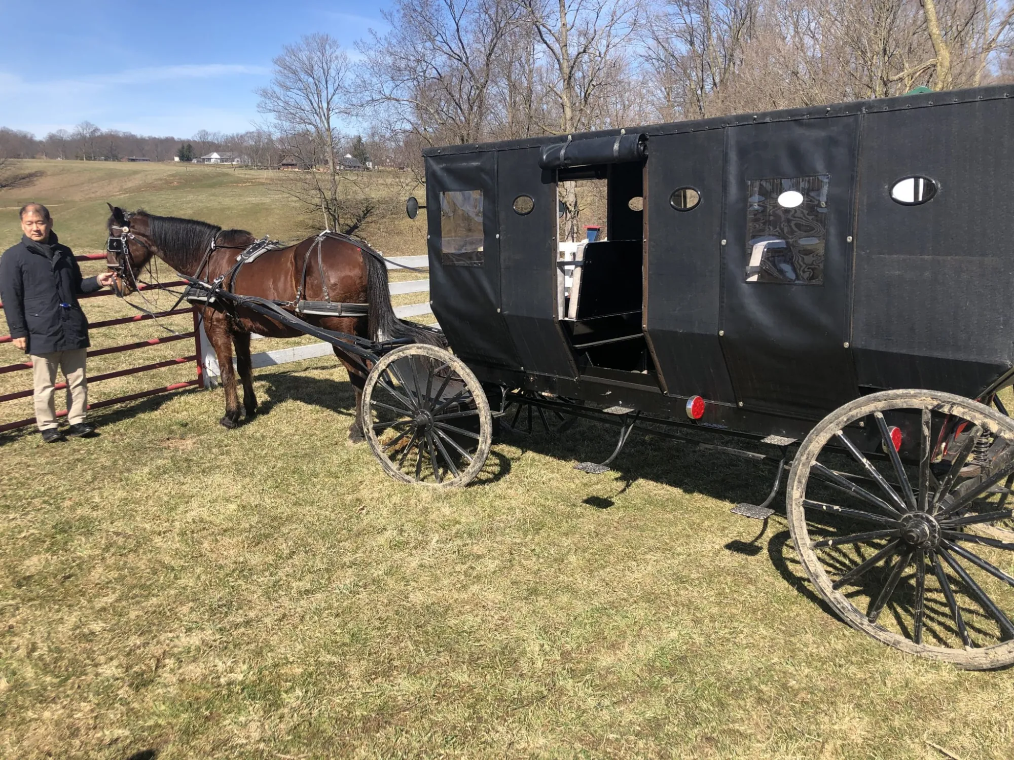 An Amish buggy and horse on the property