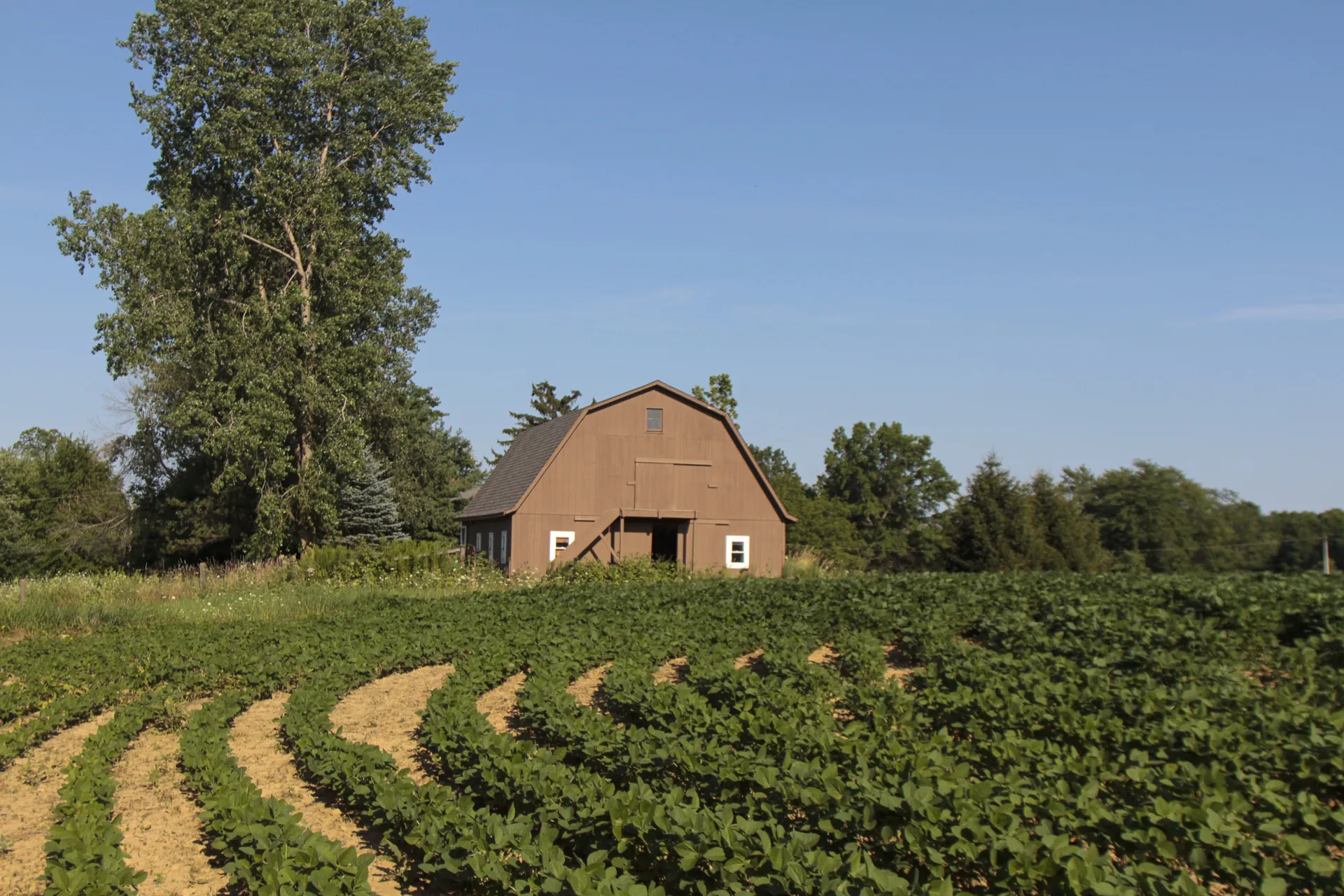 A barn and open fields on the surrounding farmland