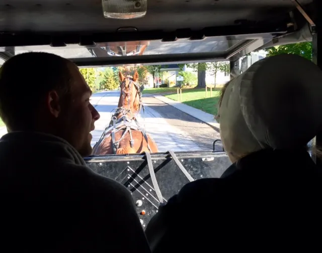 The view forward from inside an Amish buggy